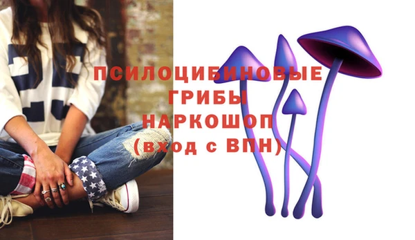 СК Алексеевка