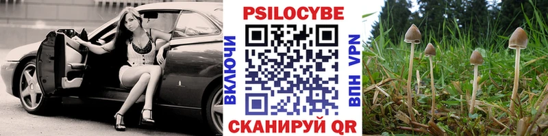 Псилоцибиновые грибы Psilocybine cubensis  где купить   Судогда 