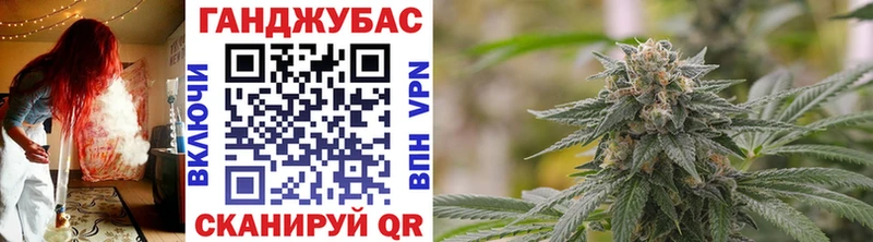 купить  сайты  Судогда  Марихуана гибрид 